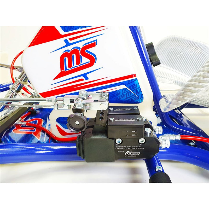 MS KART BLUE PHOENIX / DD2