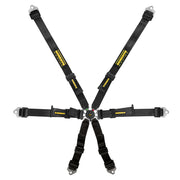 SCHROTH Flexi 2x2 6-Point FHR Harness