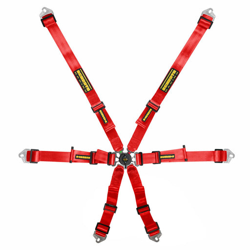 SCHROTH Flexi 2x2 6-Point FHR Harness