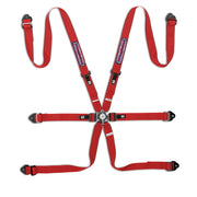 Sparco Competition H-2 Pull-Down Steel Martini 6-Point Harness