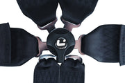 LTEC Magnum Superlite 6-Point Harness
