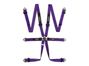 LTEC Endurance 6-Point FHR Harness