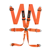 LTEC Magnum Superlite 6-Point Harness