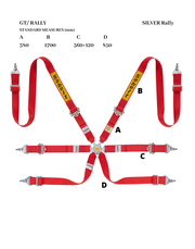 Sabelt Silver Rally 2-Inch 6-Point FHR Harness